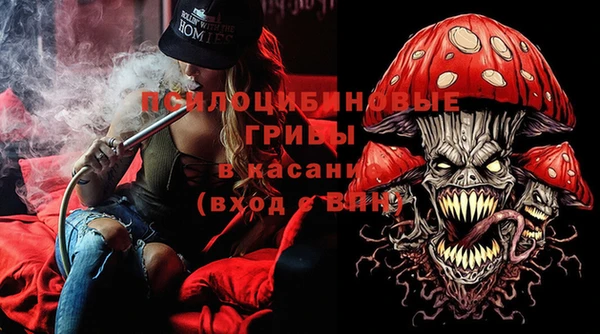 прущий лед Абаза