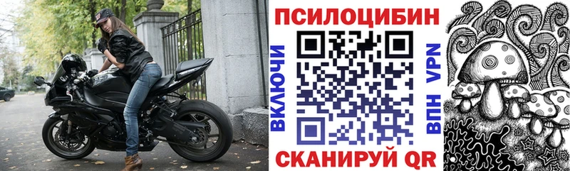 Псилоцибиновые грибы мицелий Новокубанск