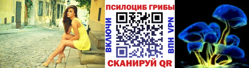 Псилоцибиновые грибы Psilocybine cubensis  купить закладку  Новокубанск 